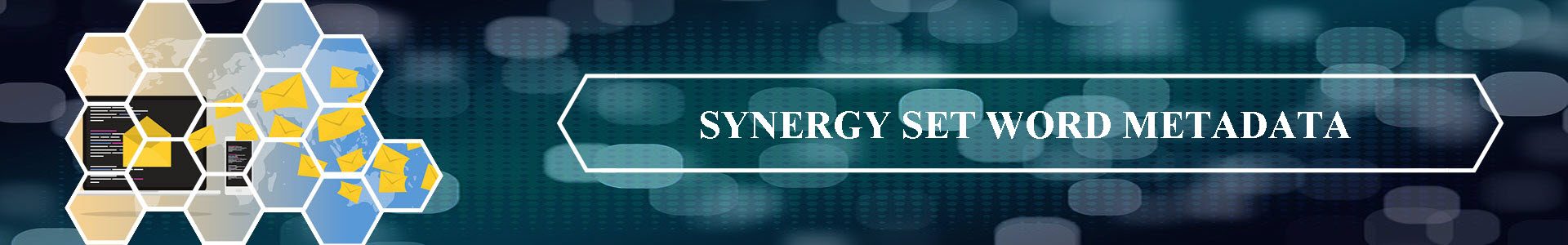 SynergySetWordMetadataHeader